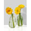 Ensemble de 2 vases en verre vert clair Rosecliff Heights