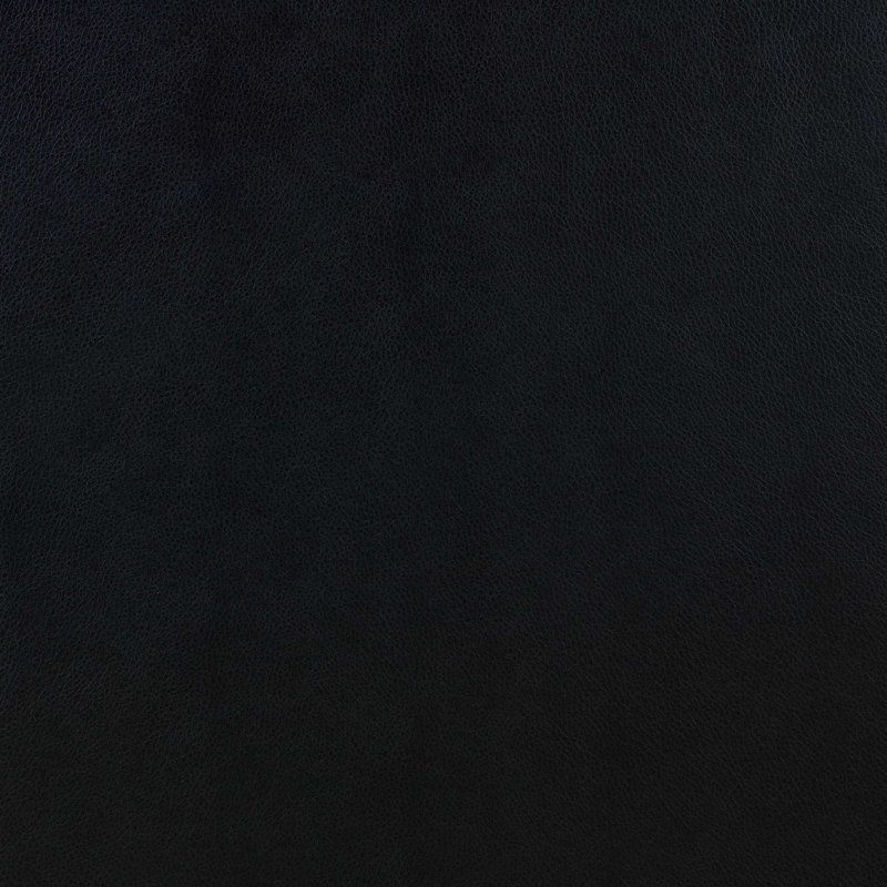 Fauteuil d'appoint rembourré Farallone, Noir