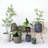 Textured Terra-cotta Planters