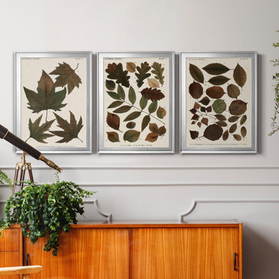 " Autumnal Leaves IV " 3 - Pieces