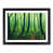 Black Framed selected