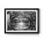 Oak Alley Reflection - photographie de cadre-862675885-862675886