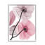 Art mural sur toile Stupell Industries, coquelicots roses contemporains par Albert Koetsier-91297212