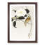 Songbird & Flowering Camellia by Ohara Koson - Picture Frame Painting Print-55618610-55618607