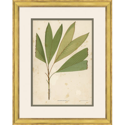 «Palm Leaves 6», peinture sur cadre