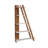 Gracelee 65" H x 39" W Ladder Bookcase, Display Corner Shelves