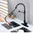 RunFine Group Lincoln Pull Down Kitchen Faucet-50087263