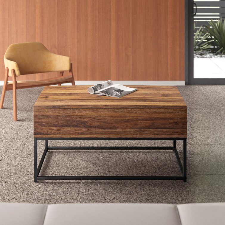 Hilyard Lift Top Coffee Table with Storage