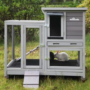 https://assets.wfcdn.com/im/09131375/resize-h310-w310%5Ecompr-r85/1497/149778558/weather-resistant-small-animal-portable-hutch-with-ramp.jpg