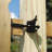 Gravity Latch Stainless Steel Black