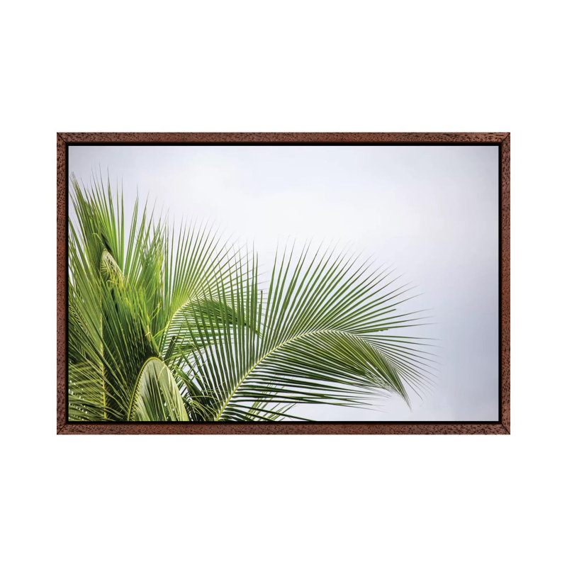 Palm Tree 1 Piece Wall Art on Canvas, 101.6 cm H x 66.04 cm W, Classic Brown Wood Framed