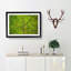 Lines of the Leaf - Picture Frame Graphic Art Print-56859794-56859795