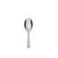 Dressed Stainless Steel Serving Spoon