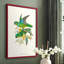 «Lime & Cerulean Parrots II», reproduction encadrée - bois massif-1391808201-1391808203