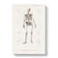 Human Skeleton by Charles D' Orbigny - Wrapped Canvas-55359575