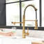 Robinet de cuisine Purifier-117581111