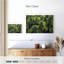 Jardin de bourgeons de marijuana-108726444