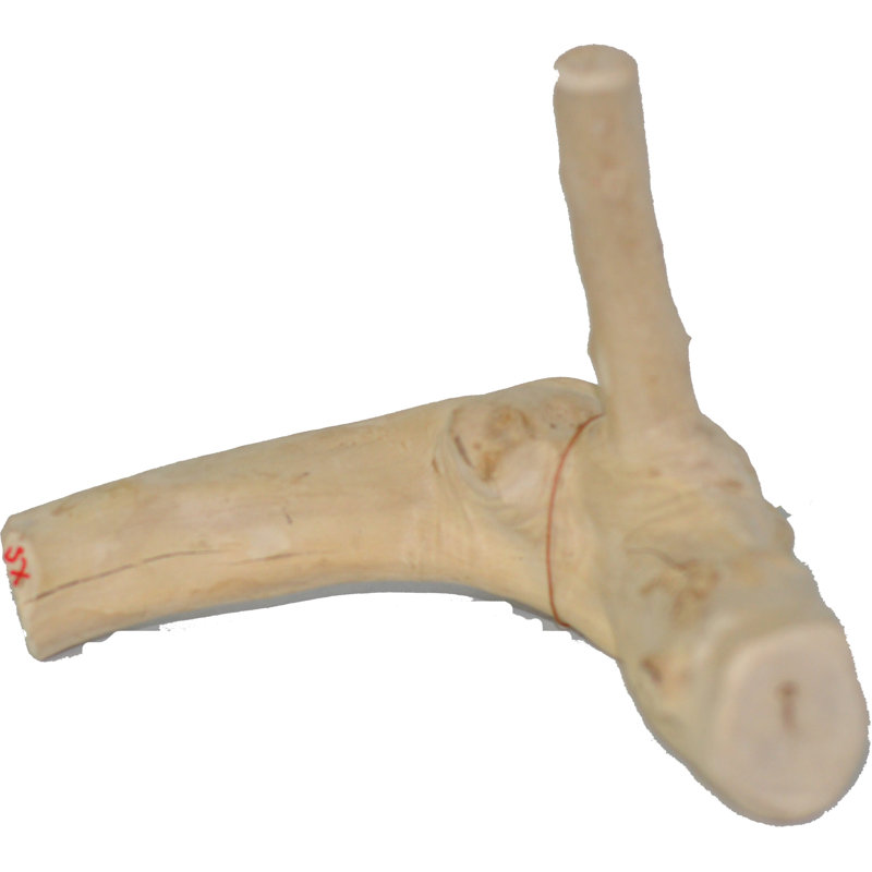 Chariya 5'' x 3'' x 5'' Wood Reptile Accessories Kit- Natural: Product size and shape may vary