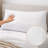 Dedman Fiber Plush Pillow