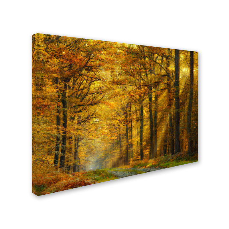 « enchanted forest », reproduction de photo sur toile tendue, H 14 po x l 19 po