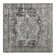 Oriental Indoor Rug