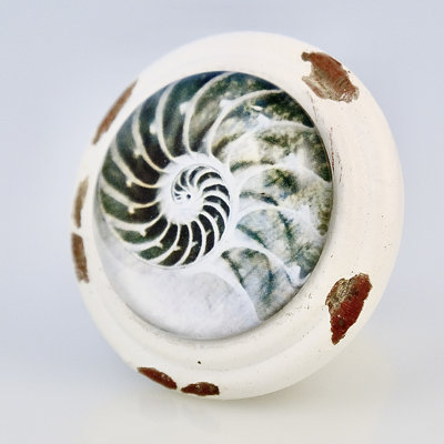 Poignée Nautilus blanc délavé Seashell Art