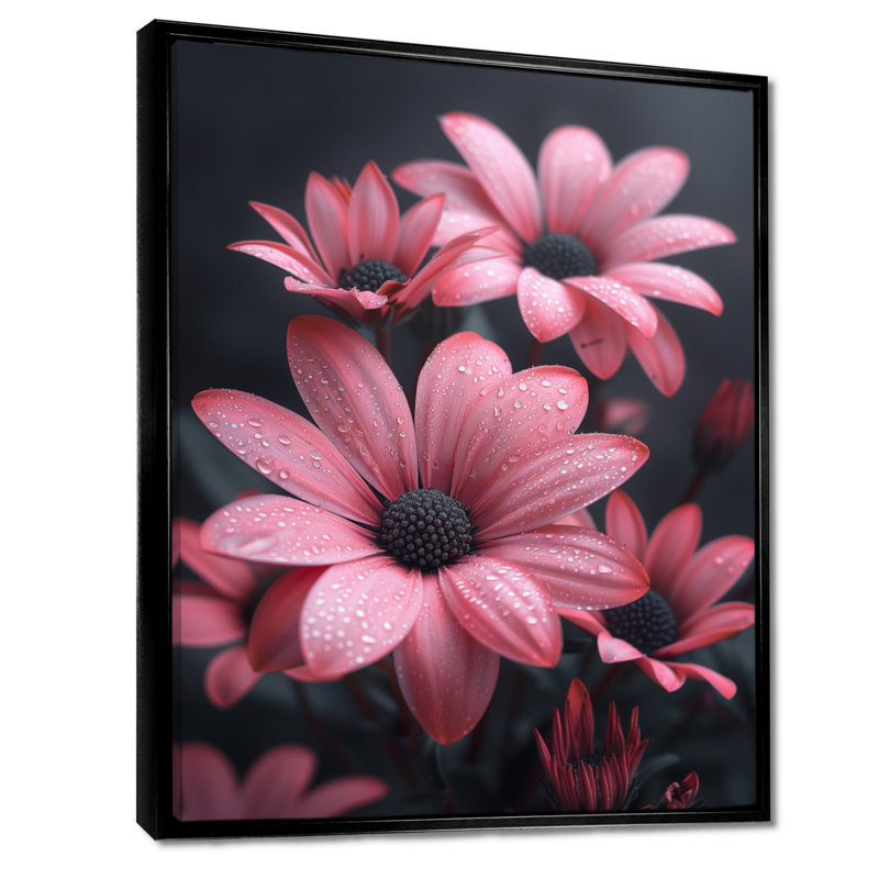 Monochromes roses et noirs marguerites photo II - marguerites, impression d'art mural, Cadre flottant noir