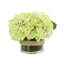 Cream Hydrangea in Rope Glass Vase-356774882
