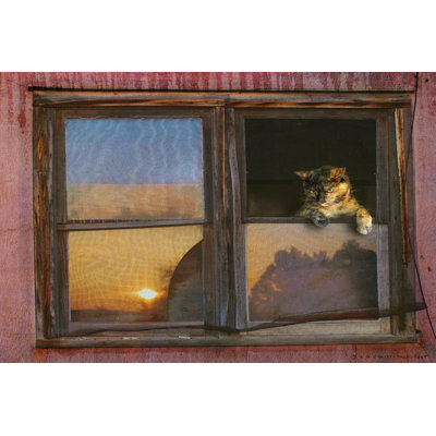 Kitten Window by Chris Vest - Wrapped Canvas Painting