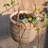 Aeson Pot Planter-197575392