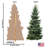 Sapin
