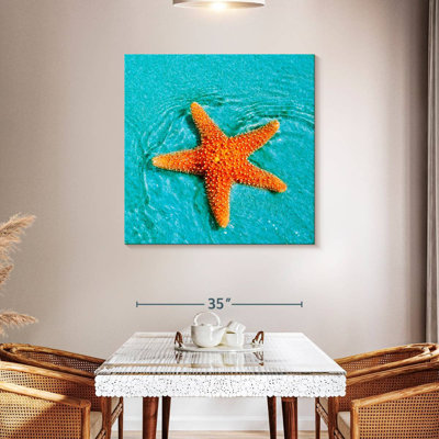 Adeliza Submerged Starfish