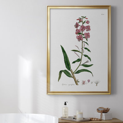 «Rose Botanical I», toile encadrée de qualité supérieure - prête à être accrochée