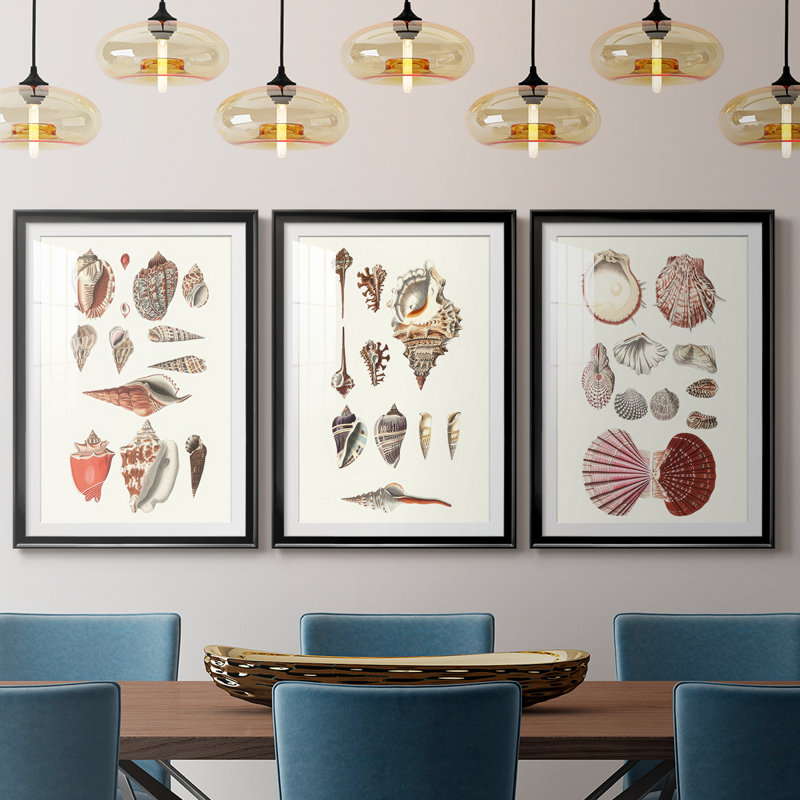 Shell Collection IV - reproduction sur mesure encadrée de qualité supérieure - 3 pièces, H 21 po x l 30 po, Noir