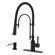 Aleasha Kitchen Faucet with Soap Dispenser