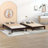Lucille Modern Solid Platform Bed-604830309