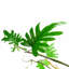 Hanging Plants 100cm Faux Philodendron Plant