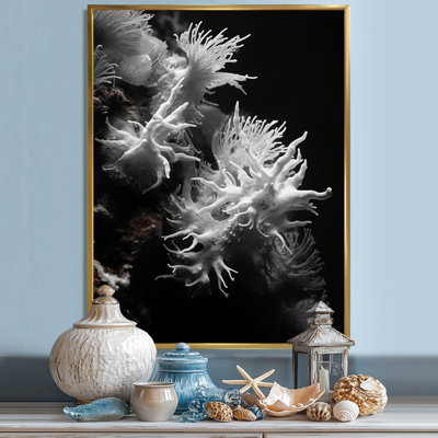 " Coral Black And White Hidden Treasures "