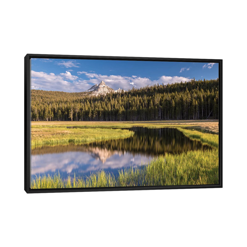 Tuolumne prairies, reproduction de photo sur toile tendue, H 32 po x l 48 po x P 1,5 po, Toile avec cadre noir, Pas de tapis