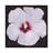 Hibiscus Portrait II by Tim OToole - Gallery-Wrapped Canvas Giclée on Canvas-528796932-528796935