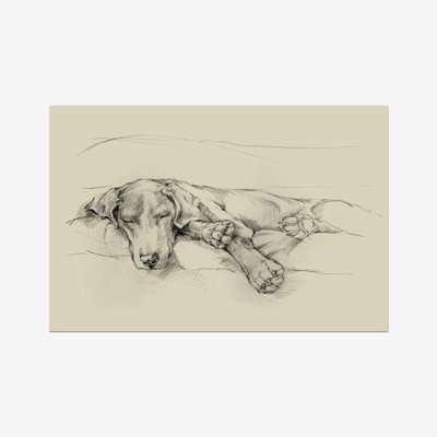 Dog Days II 1 Piece Wall Art