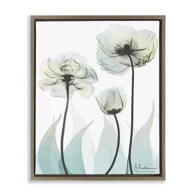 Luxury Of Creation Floating Frame, design by Albert Koetsier