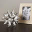 Urchin-28075746-64029206