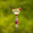 Willetton Birds Garden Stake