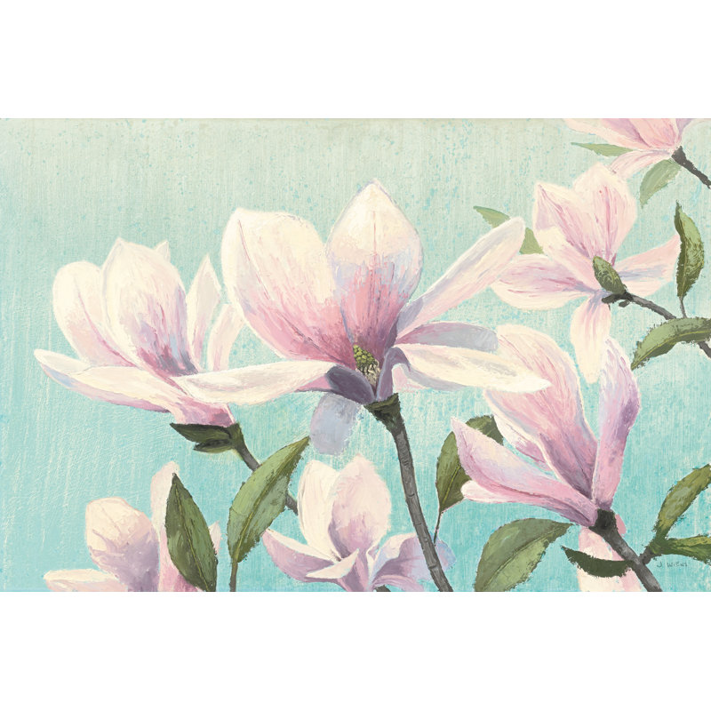 Southern Blossoms I by James Wiens - 1 Piece Wrapped Canvas Painting, 51cm H x 76cm W x 3.8cm D