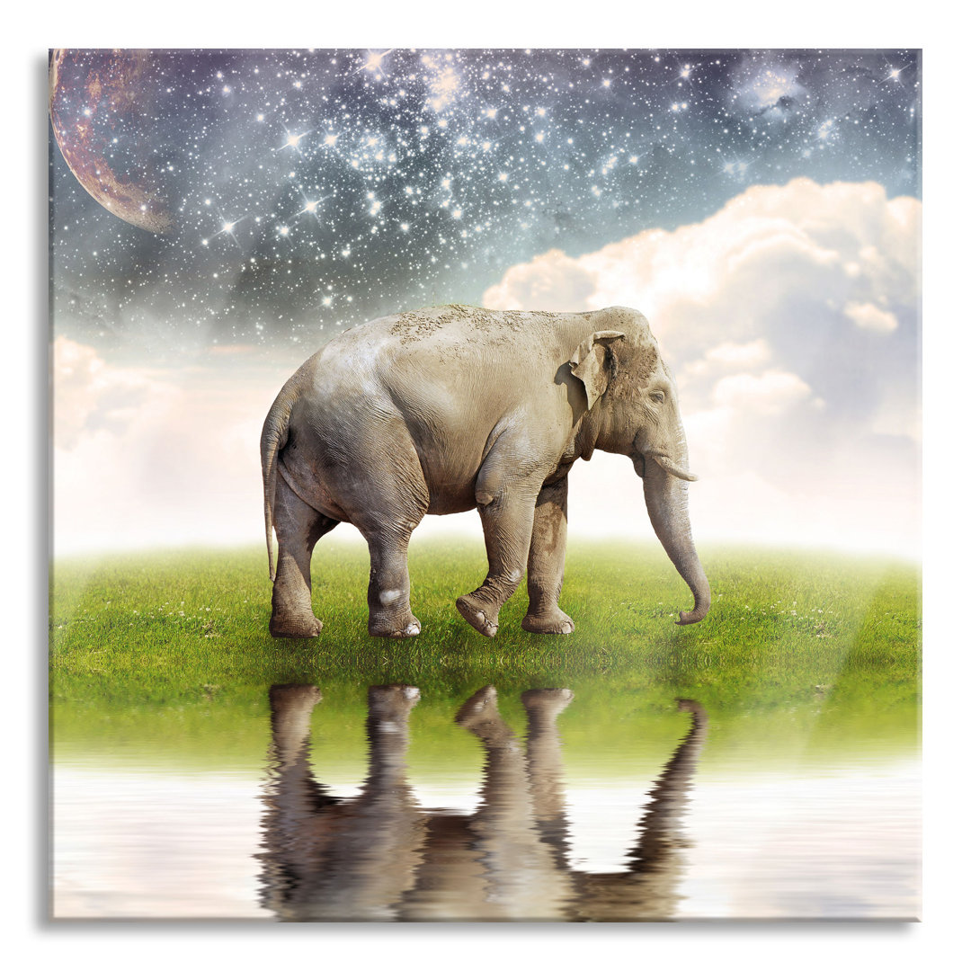 Glasbild Einsamer Elefant und Sternenhimmel