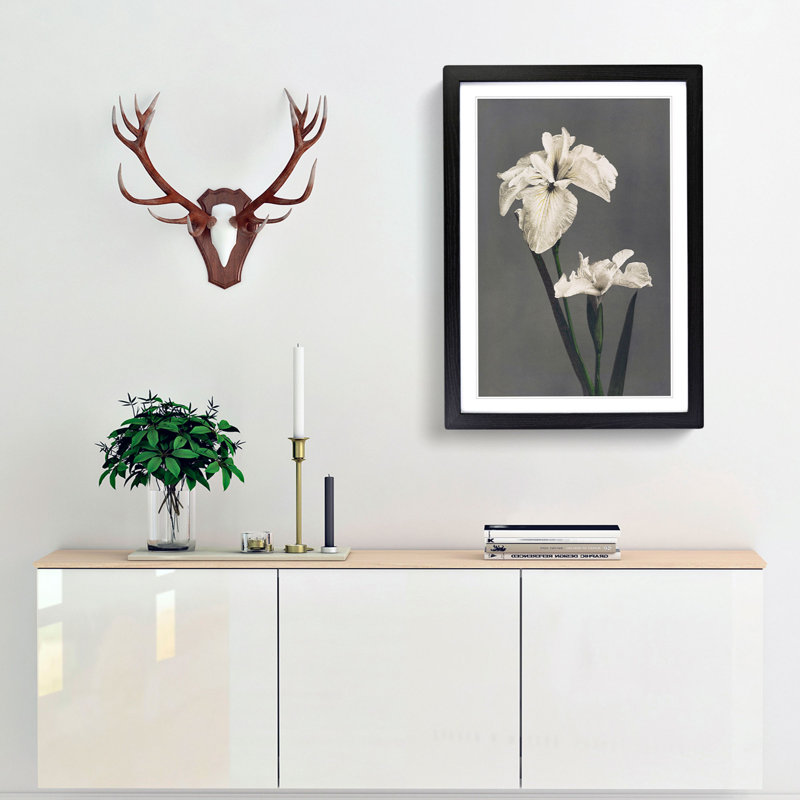 White Iris Flower by Kazumasa Ogawa - Picture Frame Art Prints, 36cm H x 27cm W x 2cm D, Black Framed