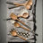 Courtly Check® Ceramic Spoon Rest