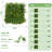 Artificial Hedge Panels Greenery Wall