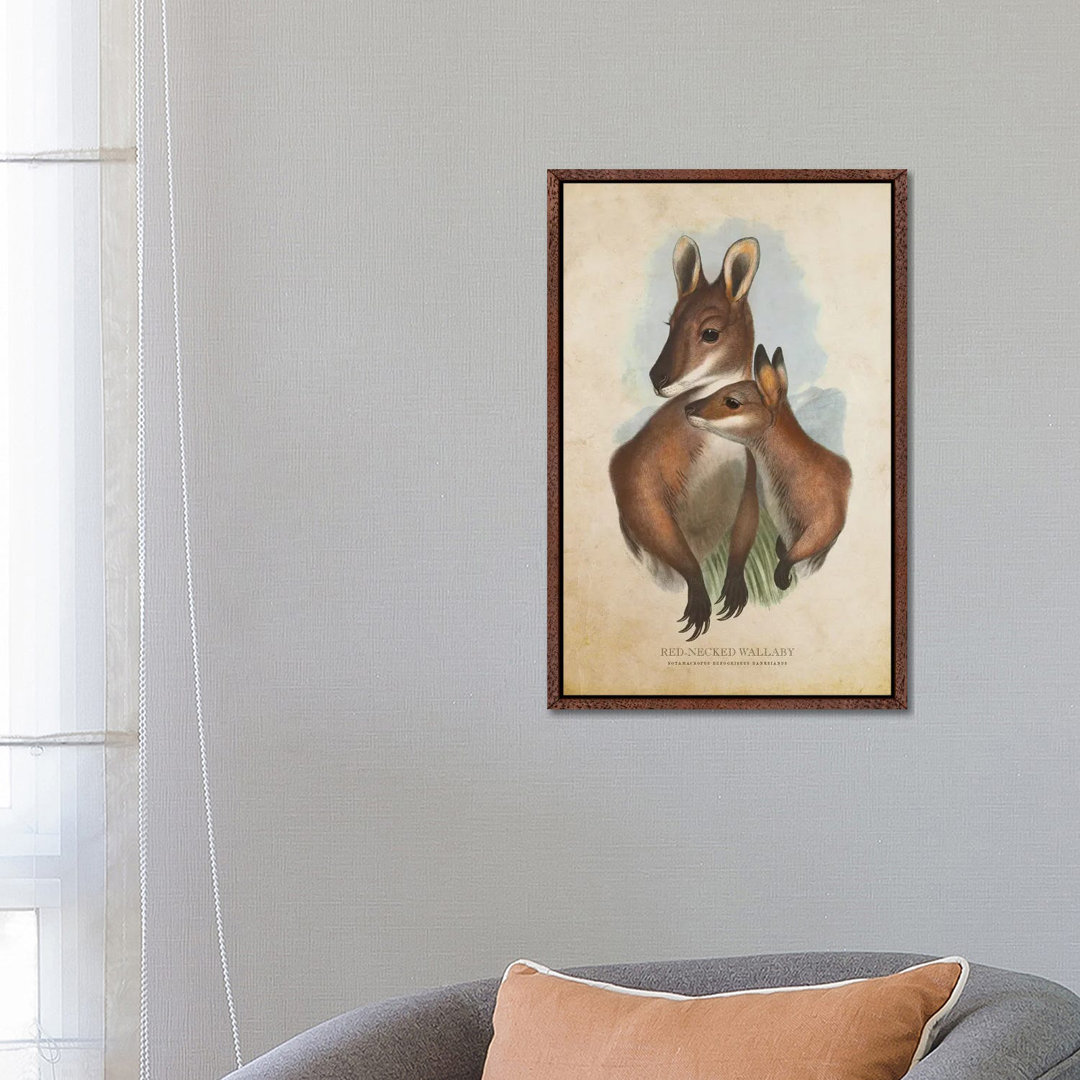 Vintage Red-Necked Wallaby von Aged Pixel - Gallery-Wrapped Canvas Giclée on Canvas